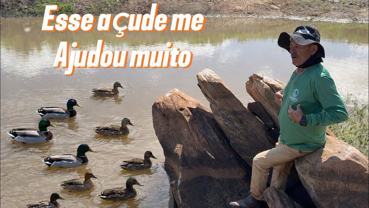 Eu fiz isso para trazer mistura para casa 🥲!