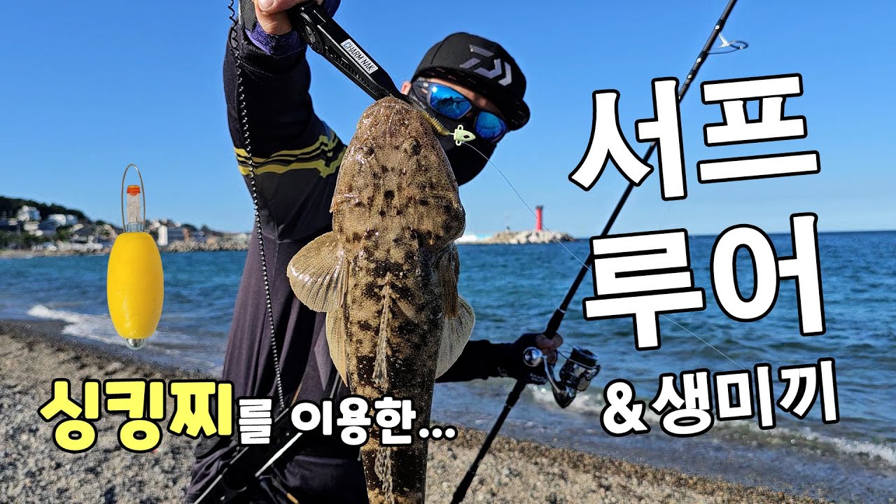 슬로우 리트리브에 덥석 물어주는 양태! 보리멸과 농어는 덤으로...!  #낚시 #바다낚시 #포항낚시 #서프루어 #양태 #보리멸 #농어 #던질찌 #케스팅볼