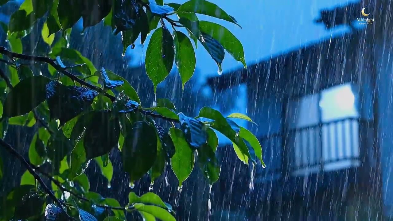 Fall Asleep in 3 Minutes 🌧️ Heavy Rain on Leaves at Night | Dark Cozy Ambience (3 Hours)
