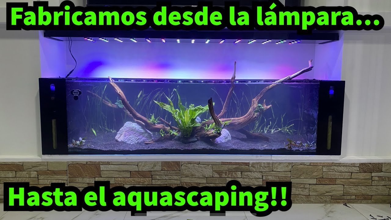 Pecera con doble sump lateral!