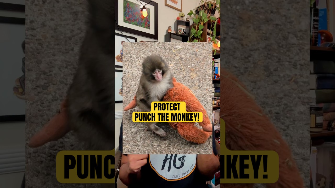 This Monkey Needs Us! #punchthemonkey #monkey