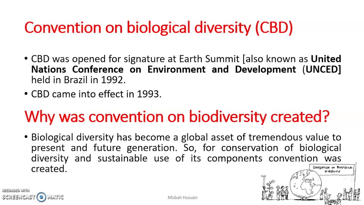 Convention on Biological Diversity. Lesson 4: Genetic Resources and Conservation
