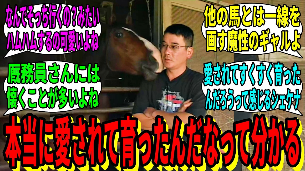 【競馬の反応集】「改めてベロちゃんと田中厩務員の距離感を見返すと」に対する視聴者の反応集