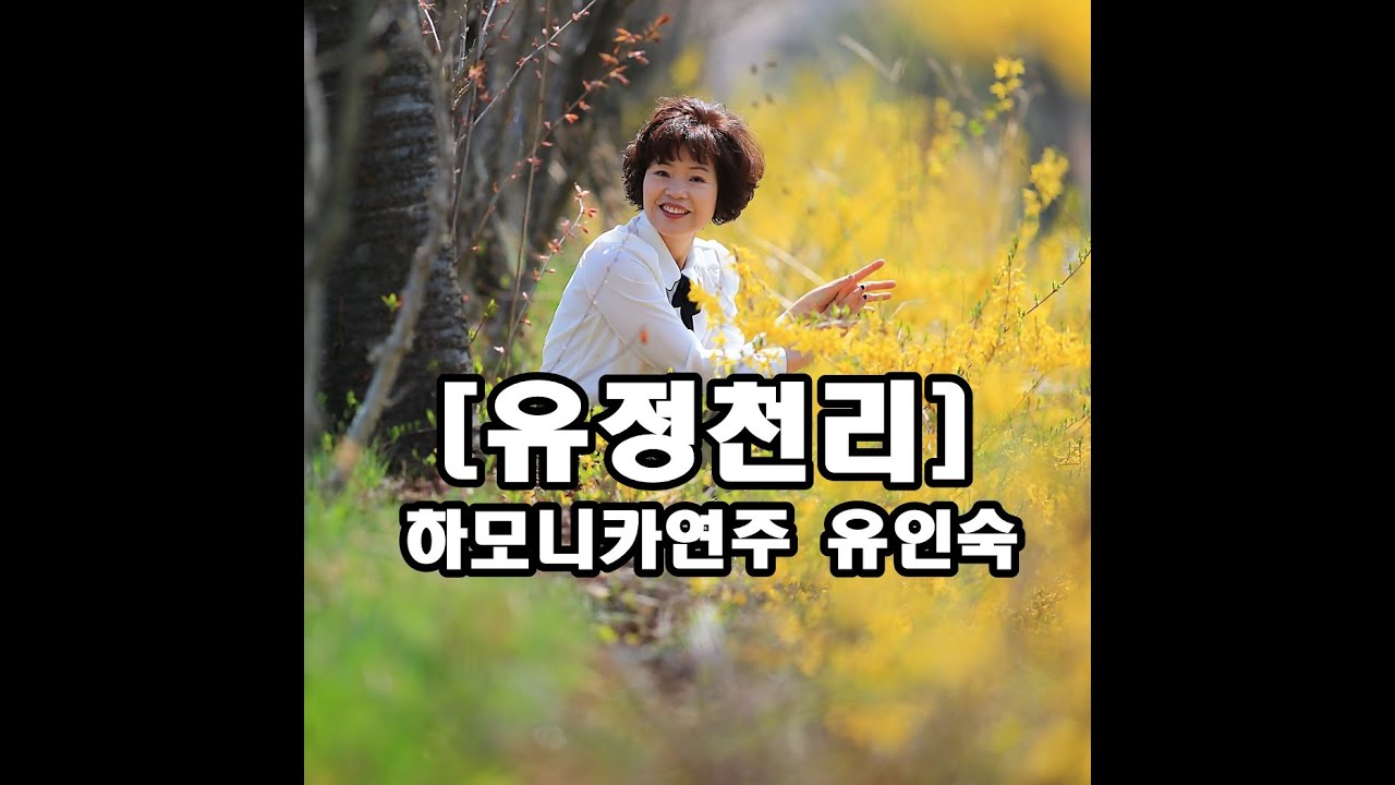 [유정천리] 하모니카연주A키 Full영상 유인숙/Yu In Sook Harmonica