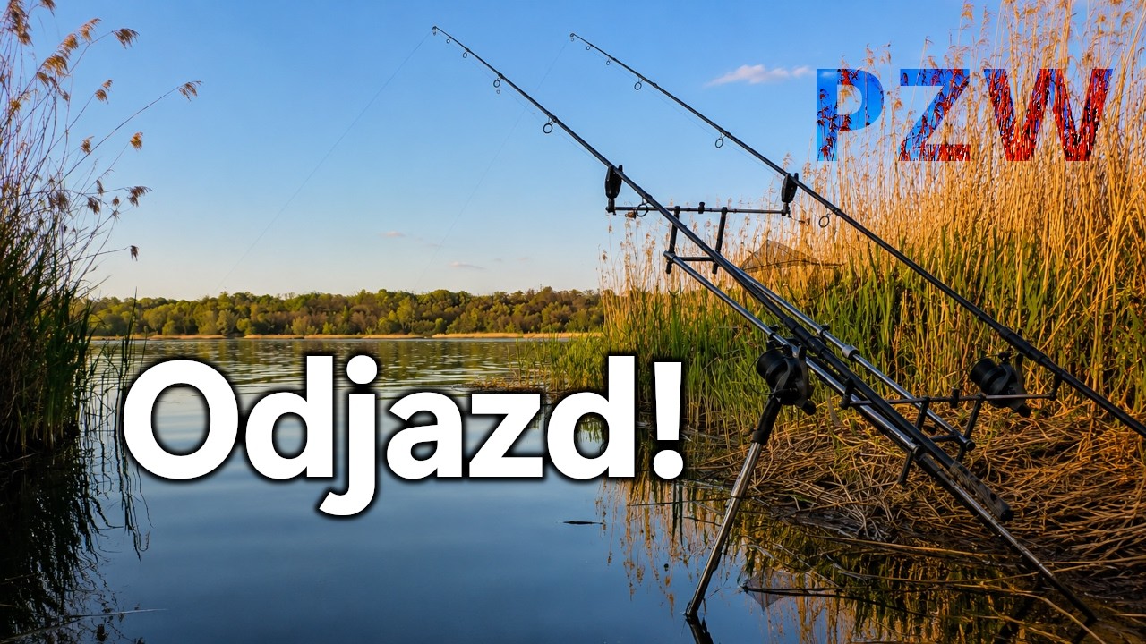 A Fully Scaled Mirror Carp Saved This Session! All-Day Carp Fishing on Big Water