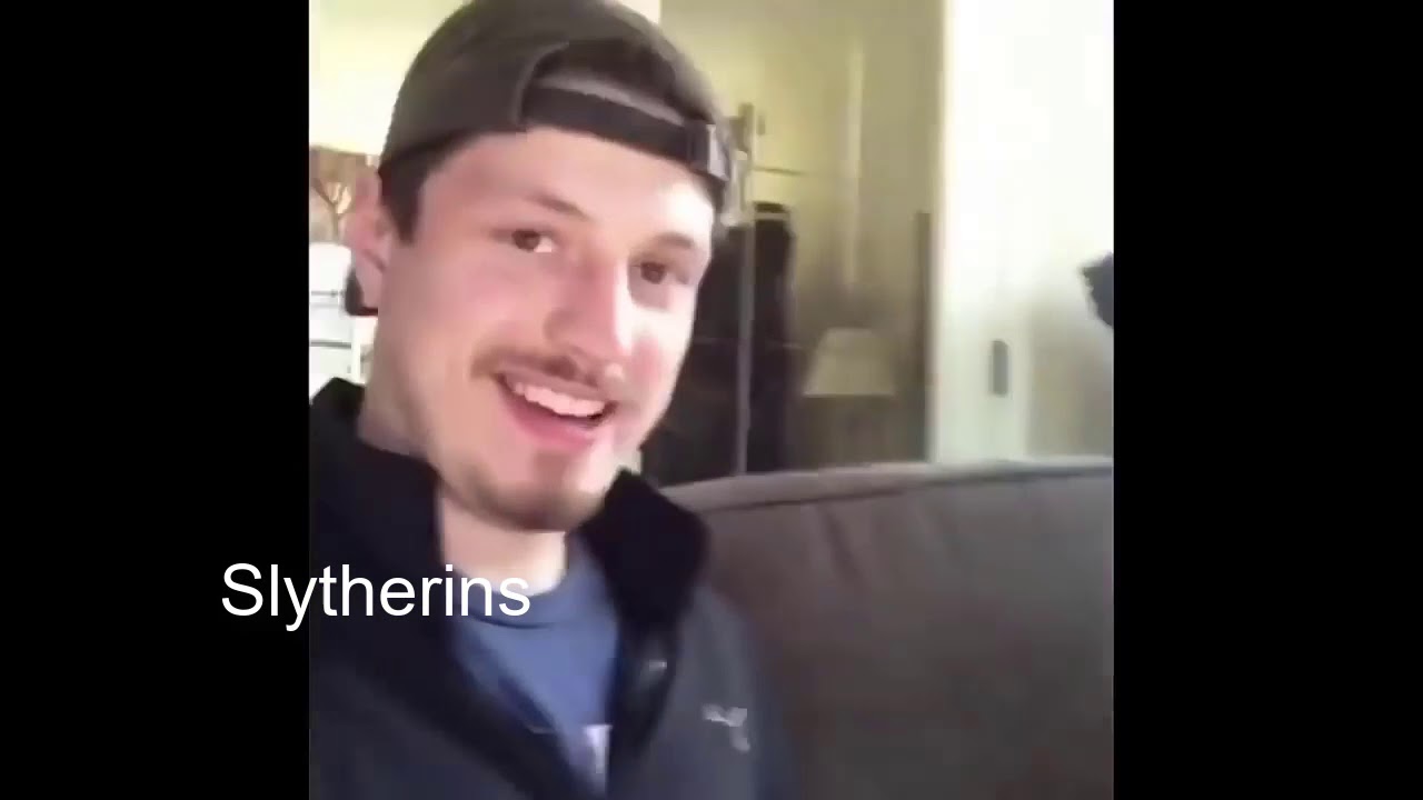 hogwarts houses as vines (clean)