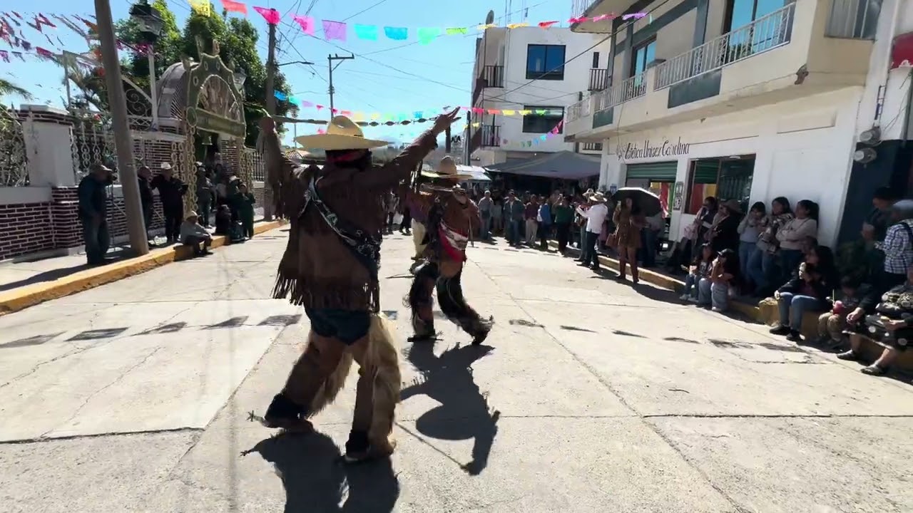 Danza de los rubios en Santos Reyes Tepejillo 