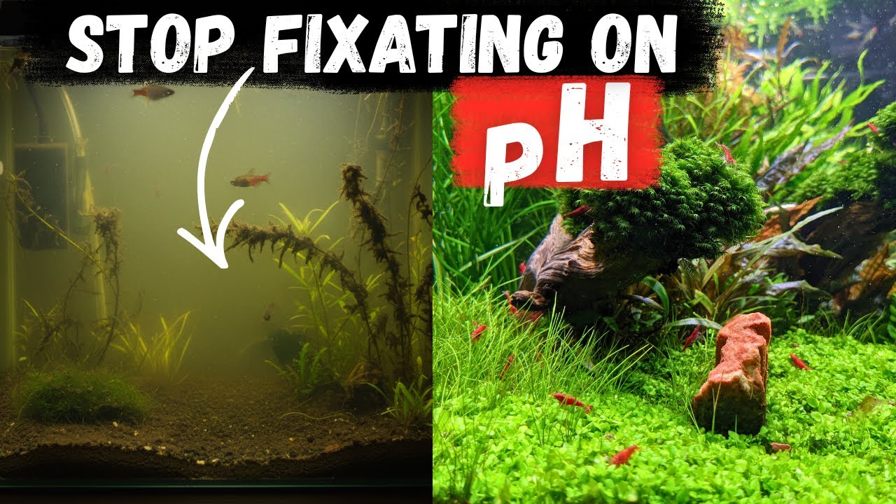 The key to PERFECT pH doesn't even involve pH?