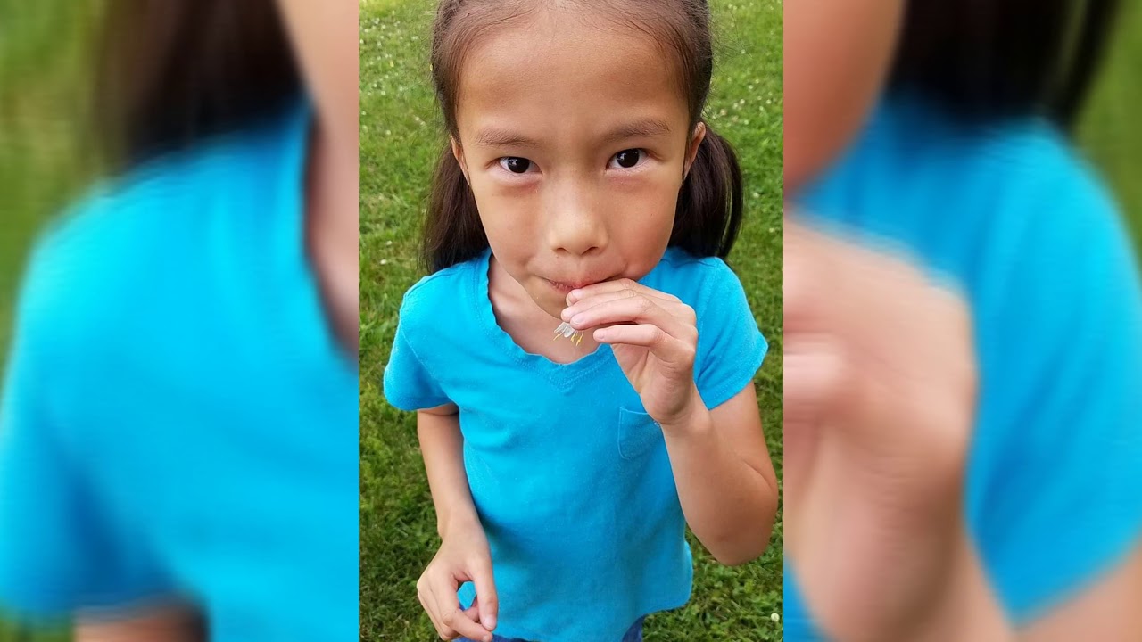 Faith's Heart Journey
