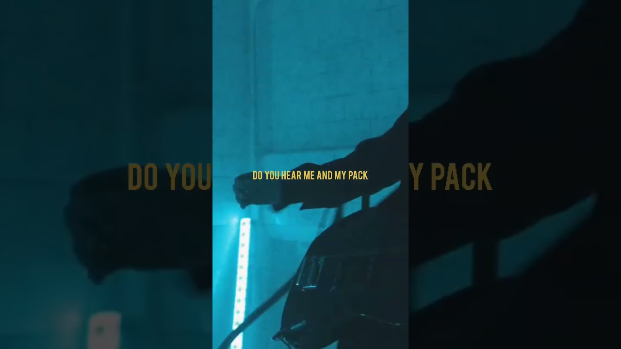 Space Of Variations - vein.mp3