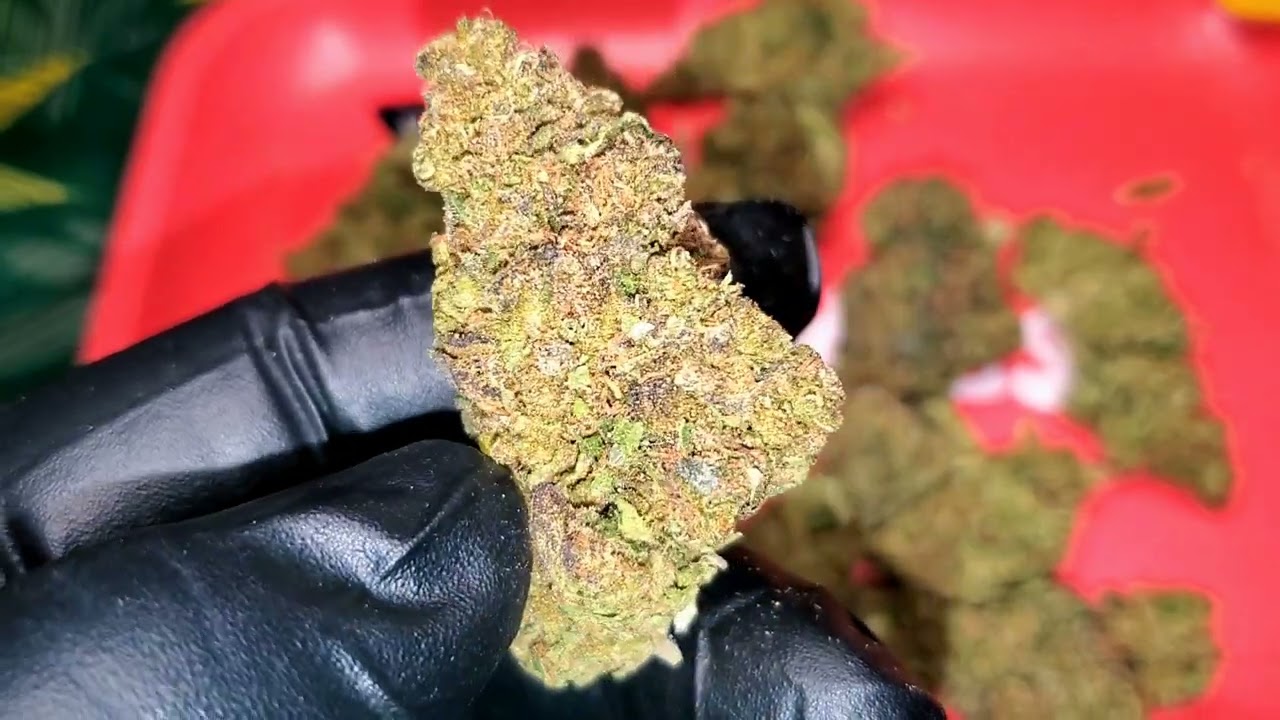Grape Gas
