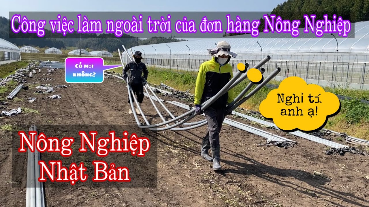 Tâm Sự Mỏng Về Công Việc Làm Ngoài Trời Của Đơn Hàng Nông Nghiệp tại Nhật Bản và Thời Gian Làm Việc?