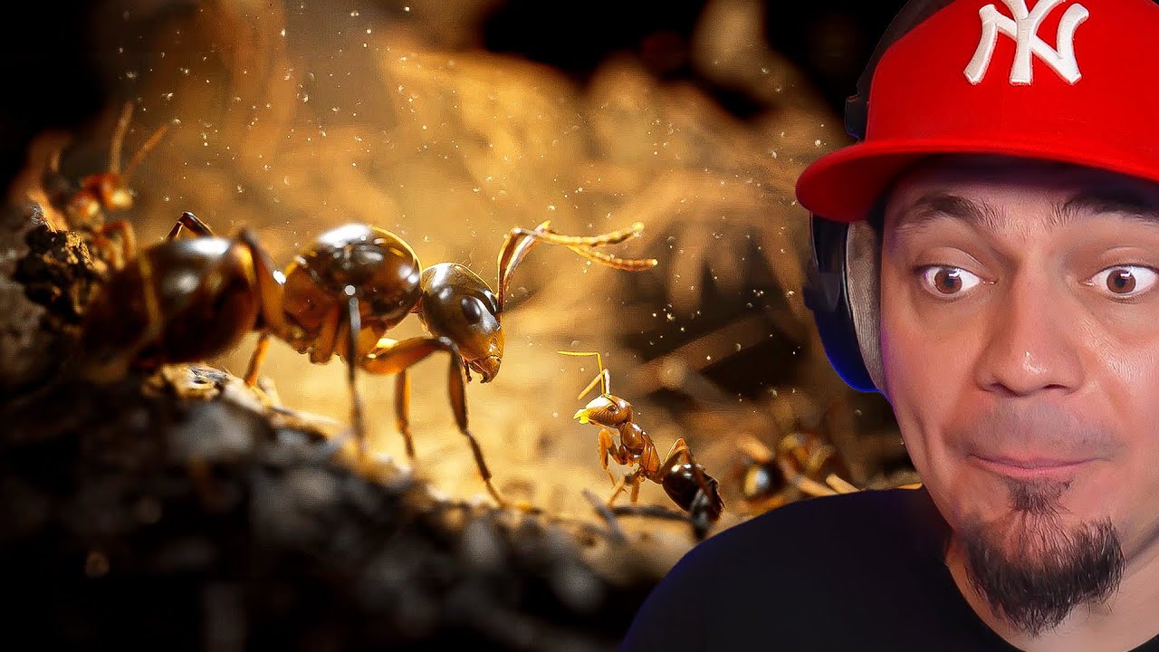 🐜 SPOTKAŁEM MATKĘ MOJEGO MROWISKA! *symulator mrówki* | Empire Of Ants #02