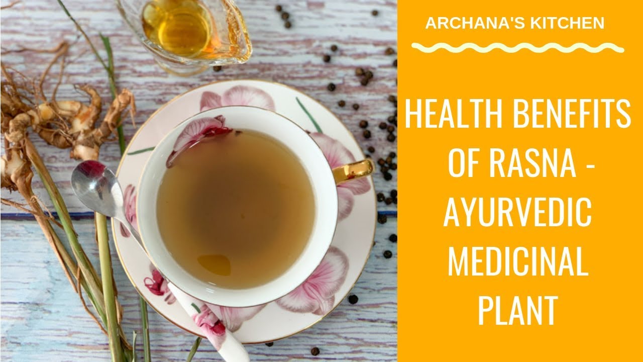 Health Benefits of Rasna (Alpinia Galanga) - Ayurvedic Medicinal Plant