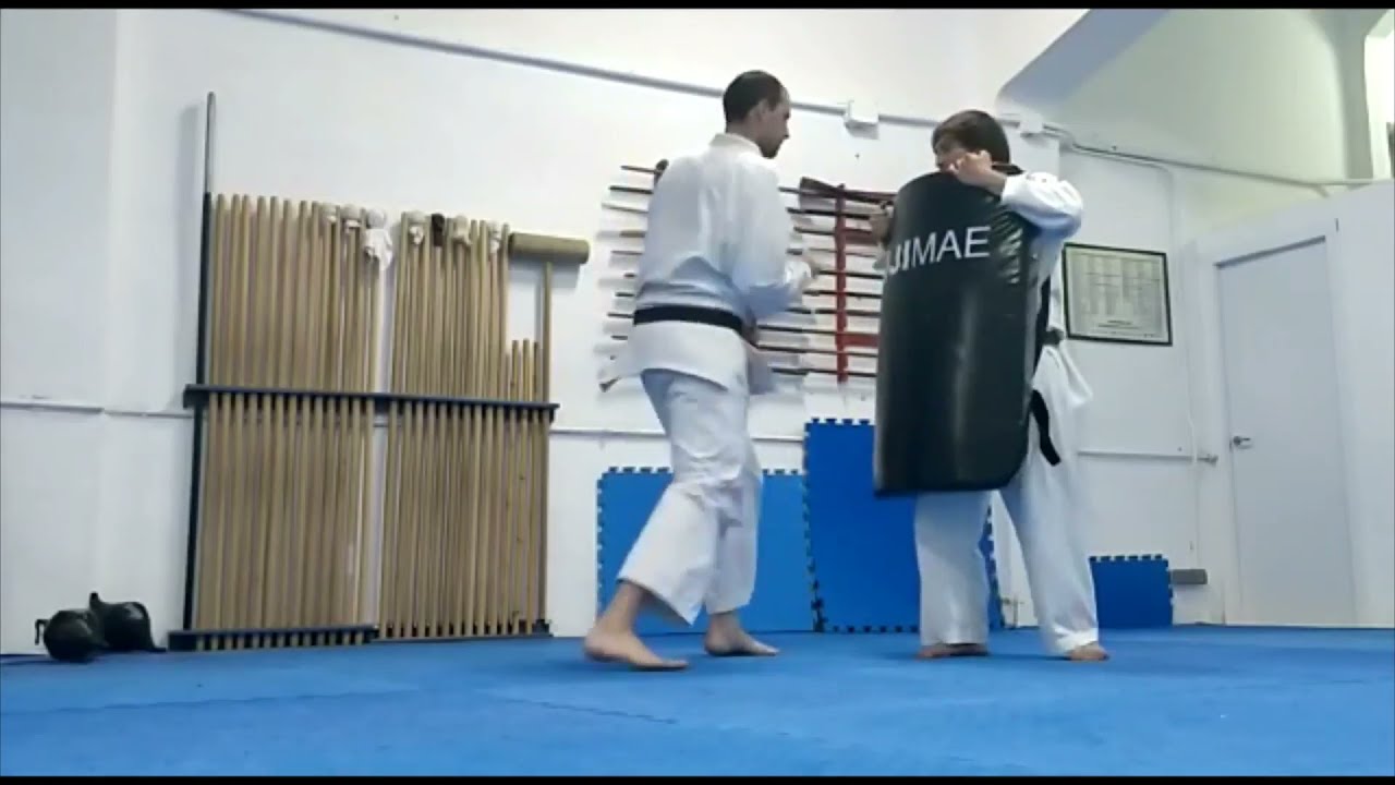 KENPO-KAI ENTRENAMIENTO
