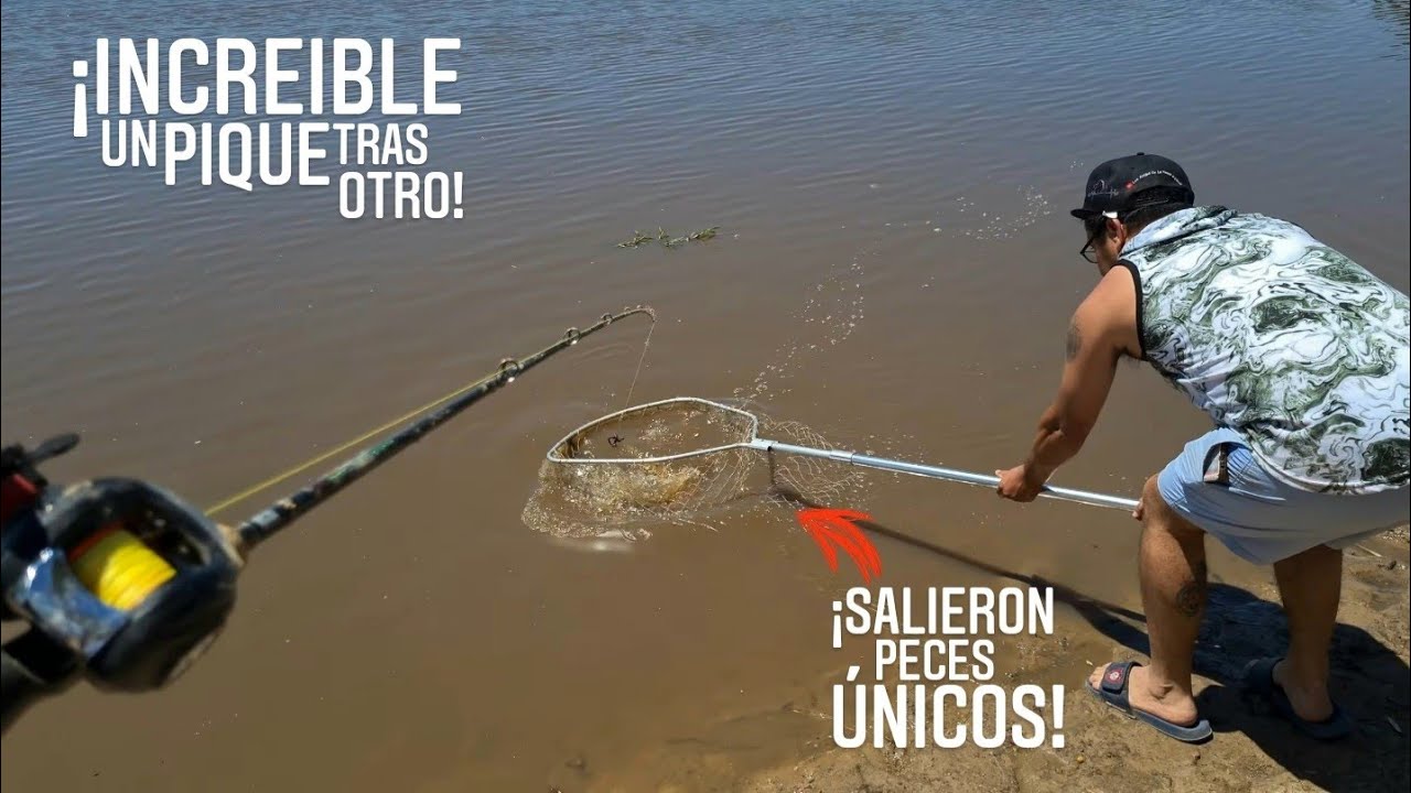 MUCHO, MUCHO PIQUE DE BESTIAS, ACA SOLO HAY NATURALEZA, Camping La Georgina, Pesca en Entre Rios.