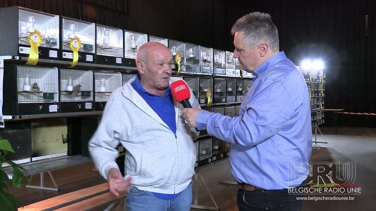 West-Vlaams kampioenschap voor sier-, kleur- en zangvogels strijkt neer in zaal Kubox te Kuurne