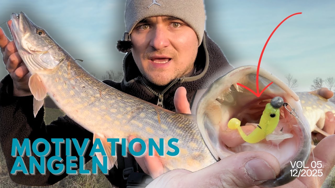 MOTIVATIONSANGELN | Endlich Fisch am Haken! VOL 05