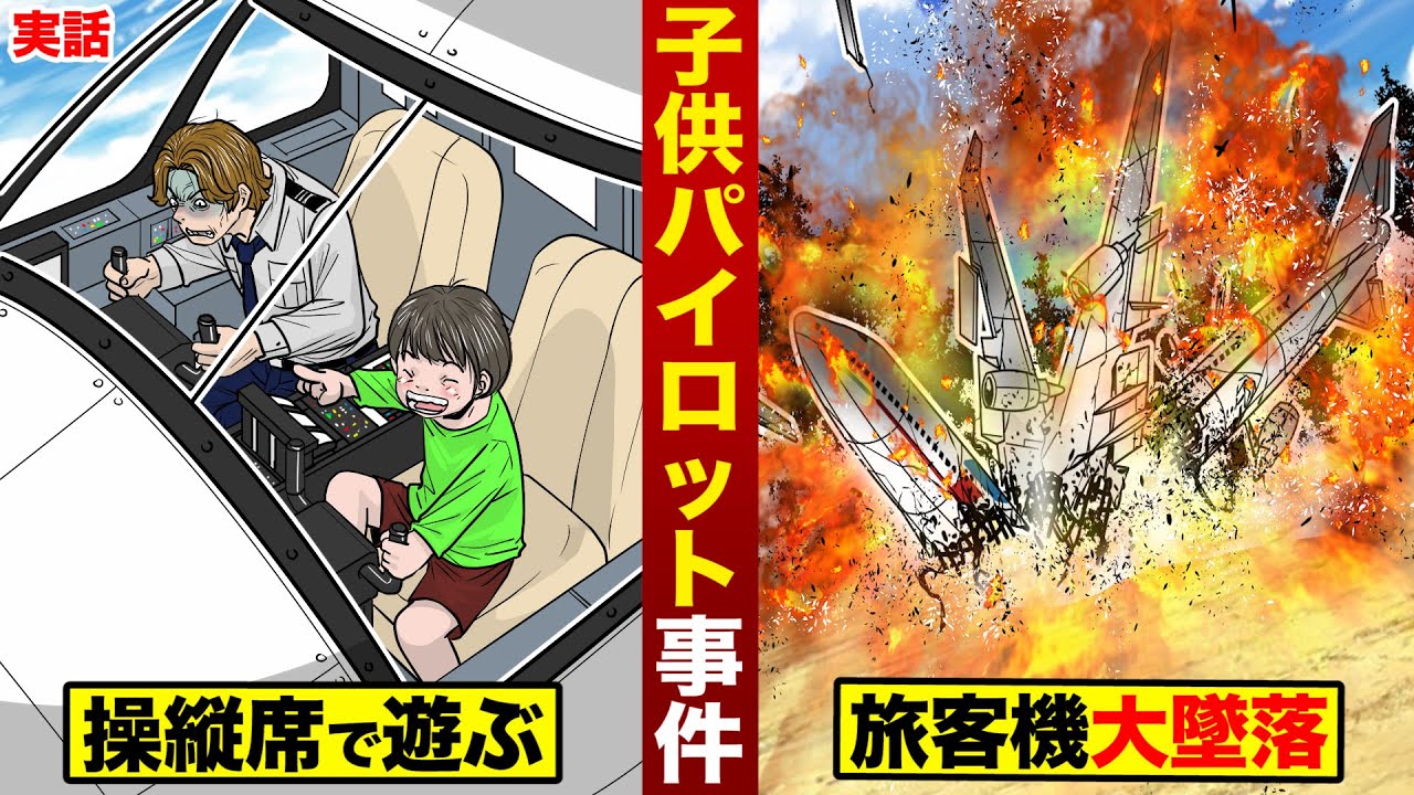【実話】子供パイロット事件。操縦席で遊ばしたら...飛行機が大墜落。