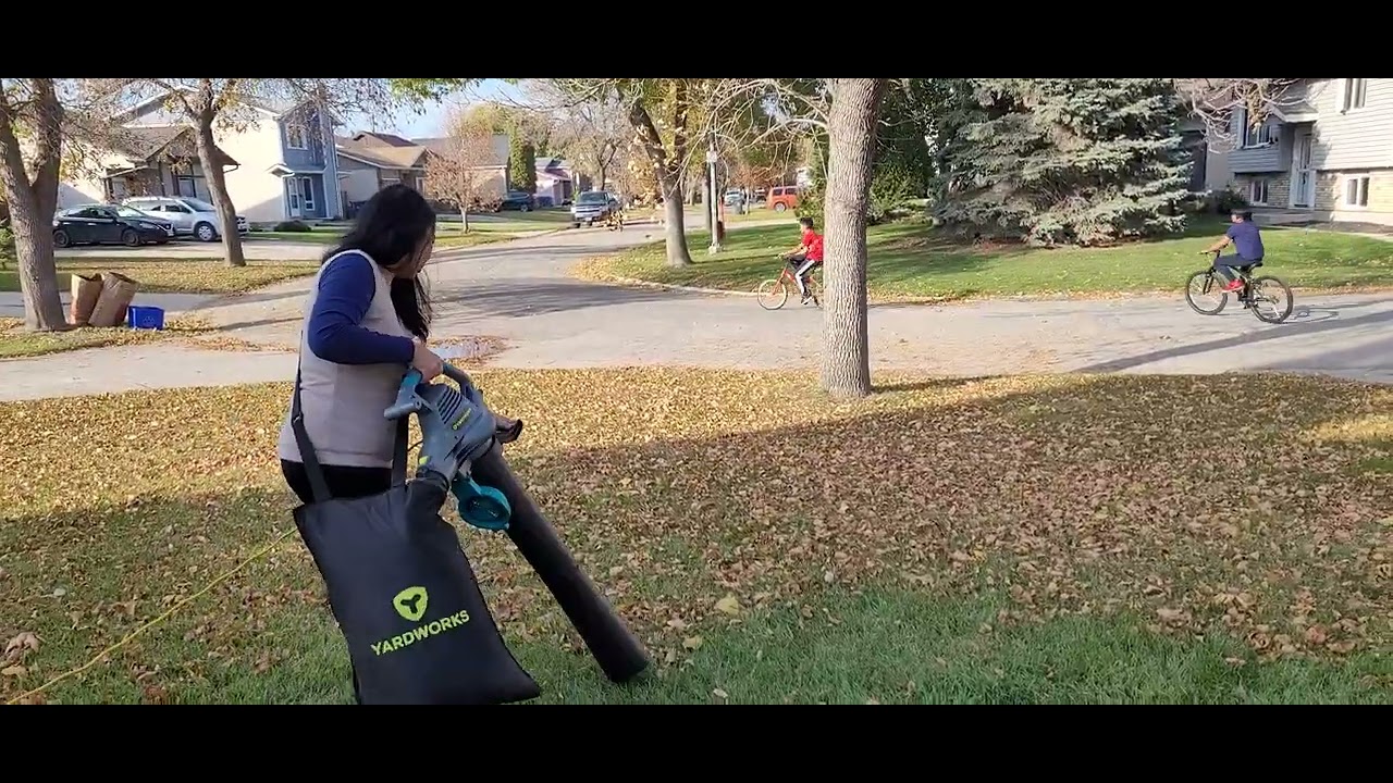 Trying Yardworks Leaf Blower/Vacuum