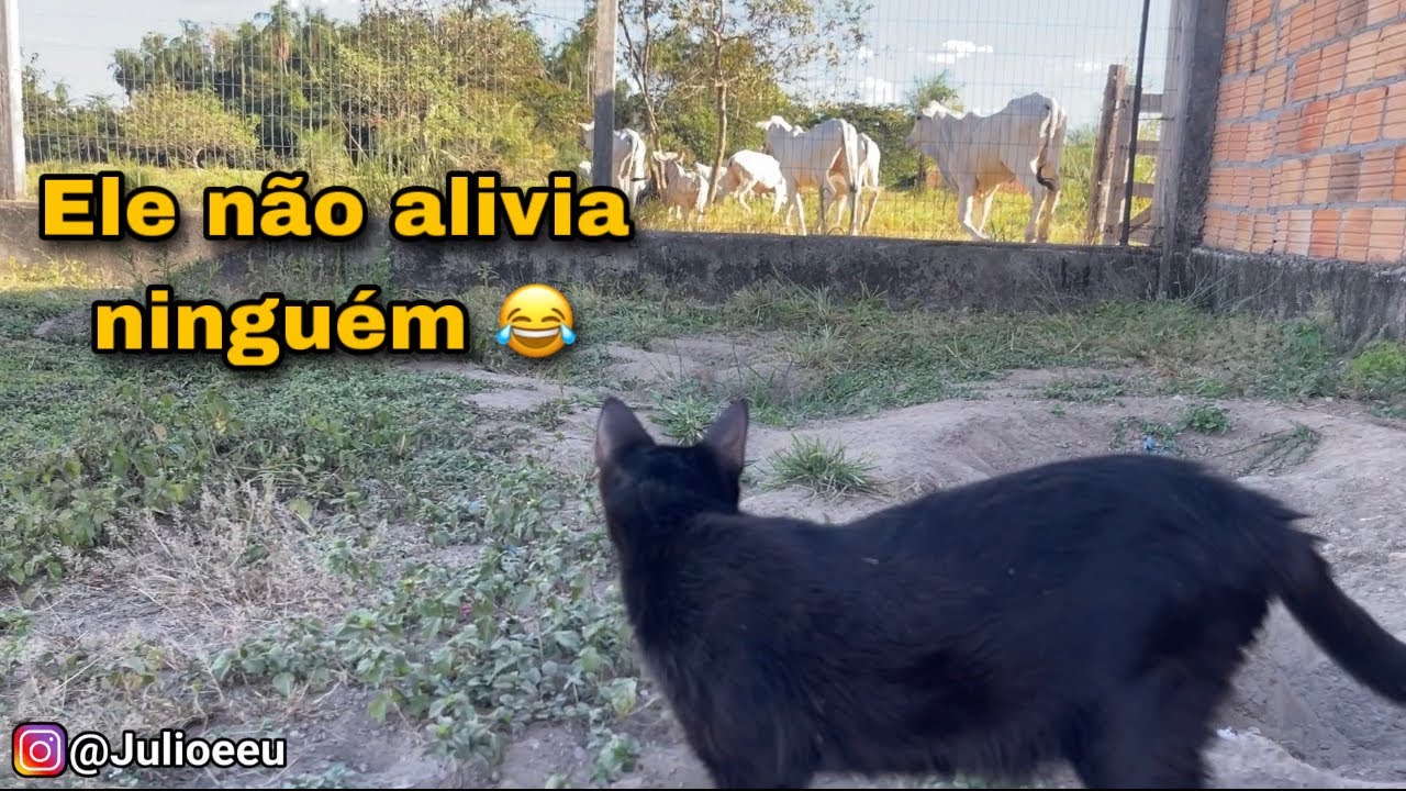 Quando a genética pula uma geração!  😂😂😂😂