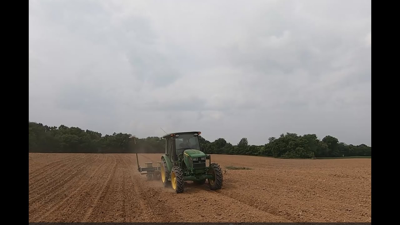 Planting Soybeans 2025