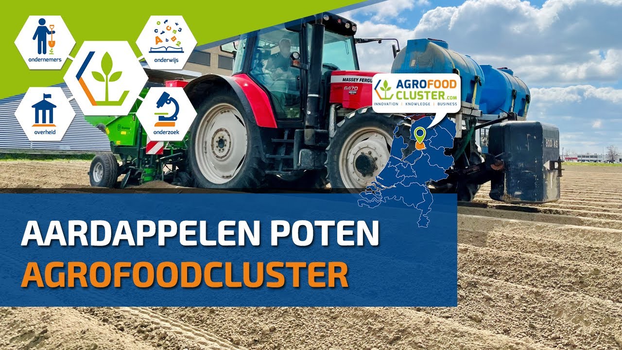 Aardappelen poten #shorts