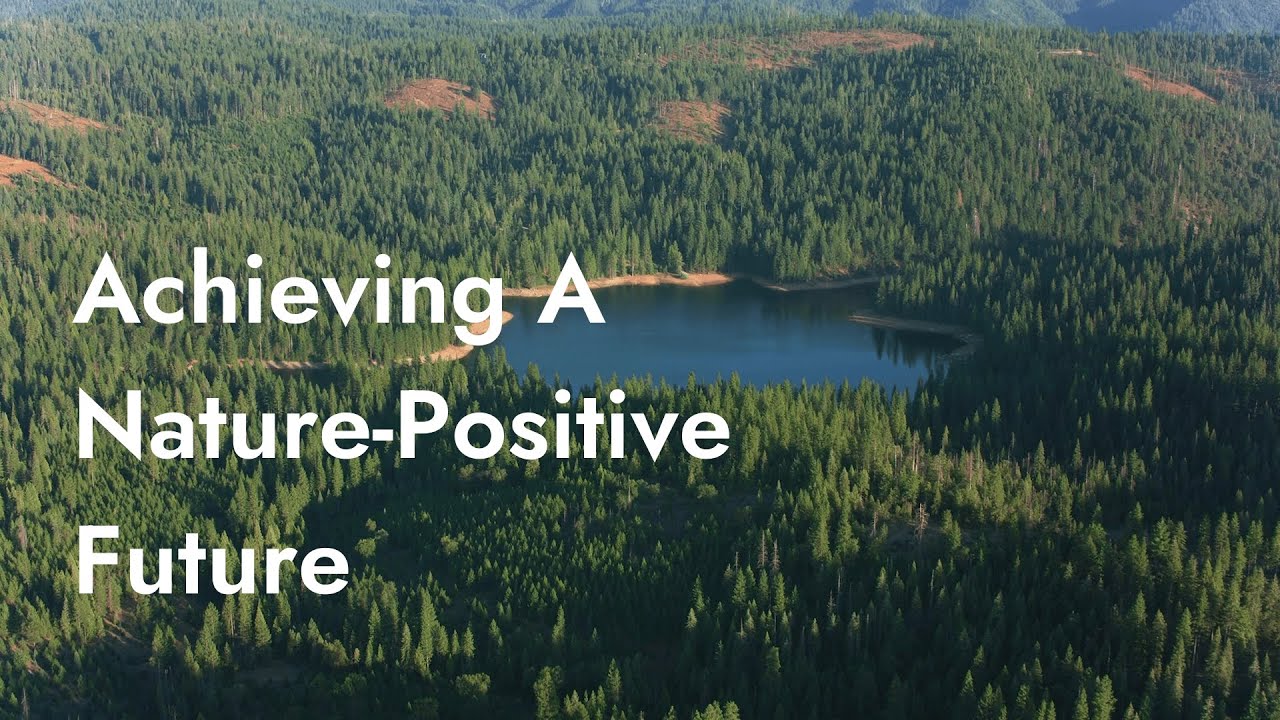 How Do We Achieve Nature Positive?