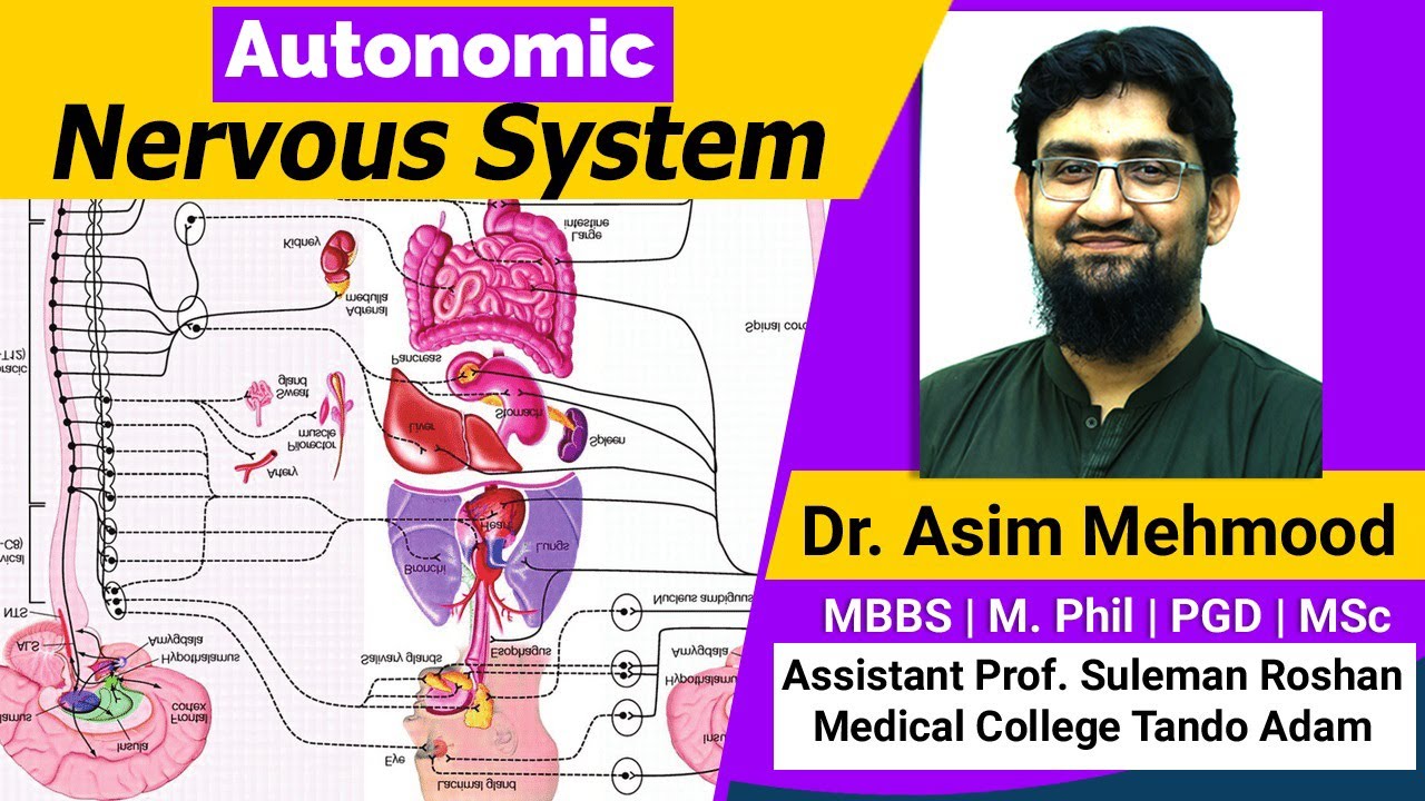 Autonomic Nervous System Made Easy ( Hindi / Urdu )