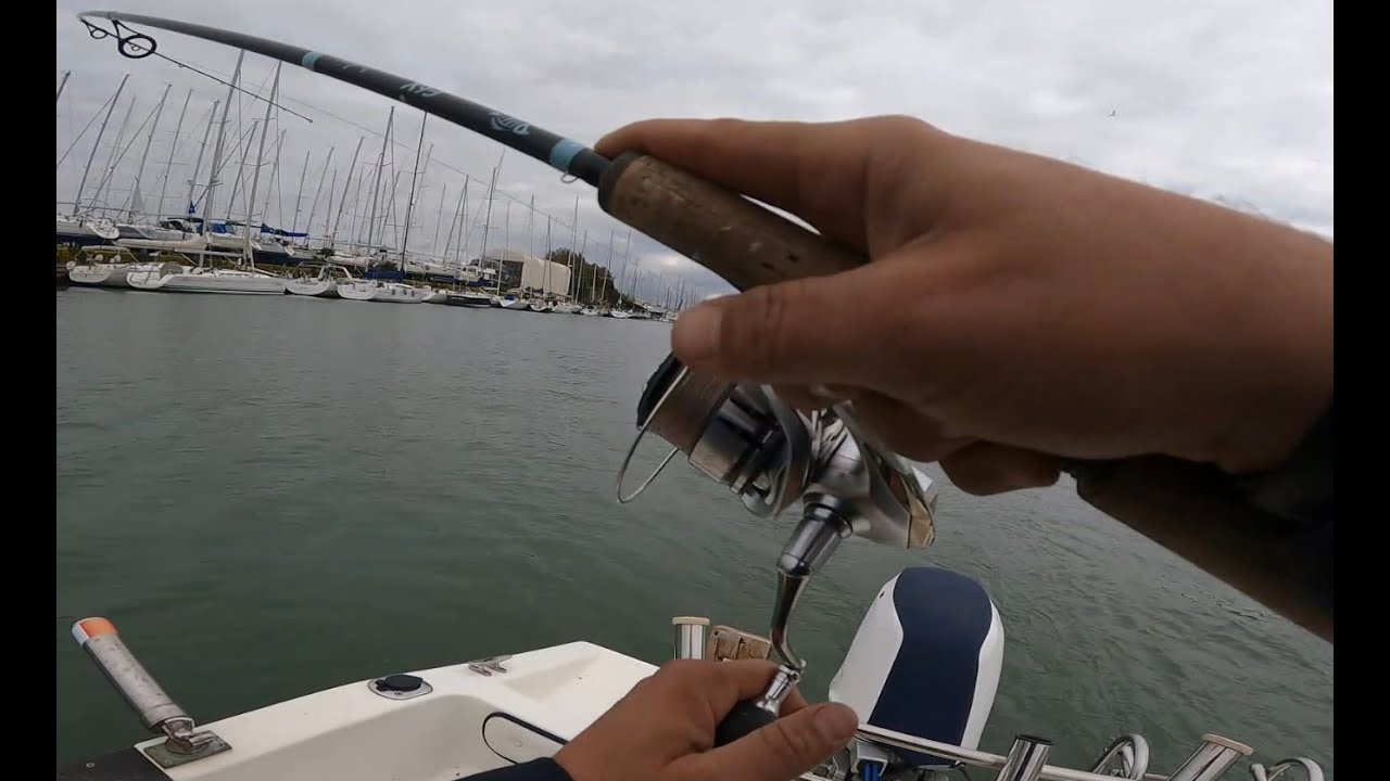 PESCA A TRAINA CON ARTIFICIALI ALLA RICERCA DI SPIGOLE IN  FOCE #pesca #fishing_video #fishing