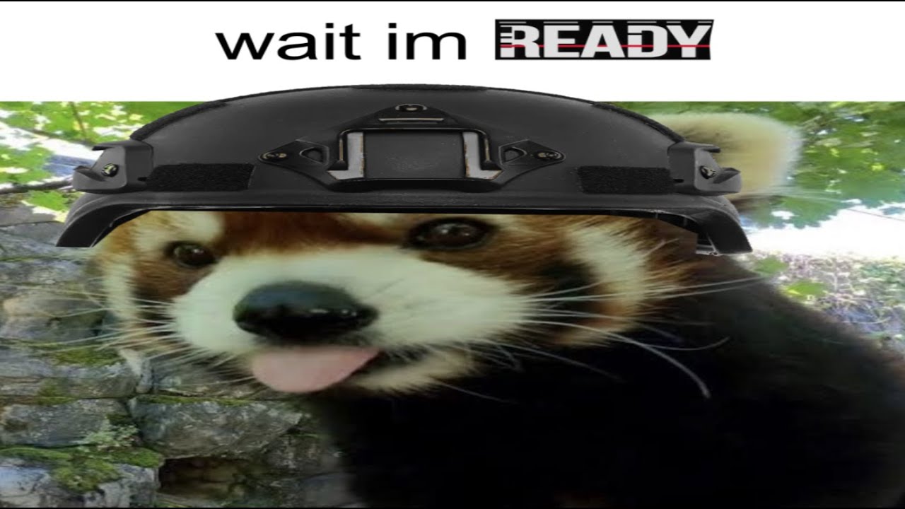 im like really bad at ready or not