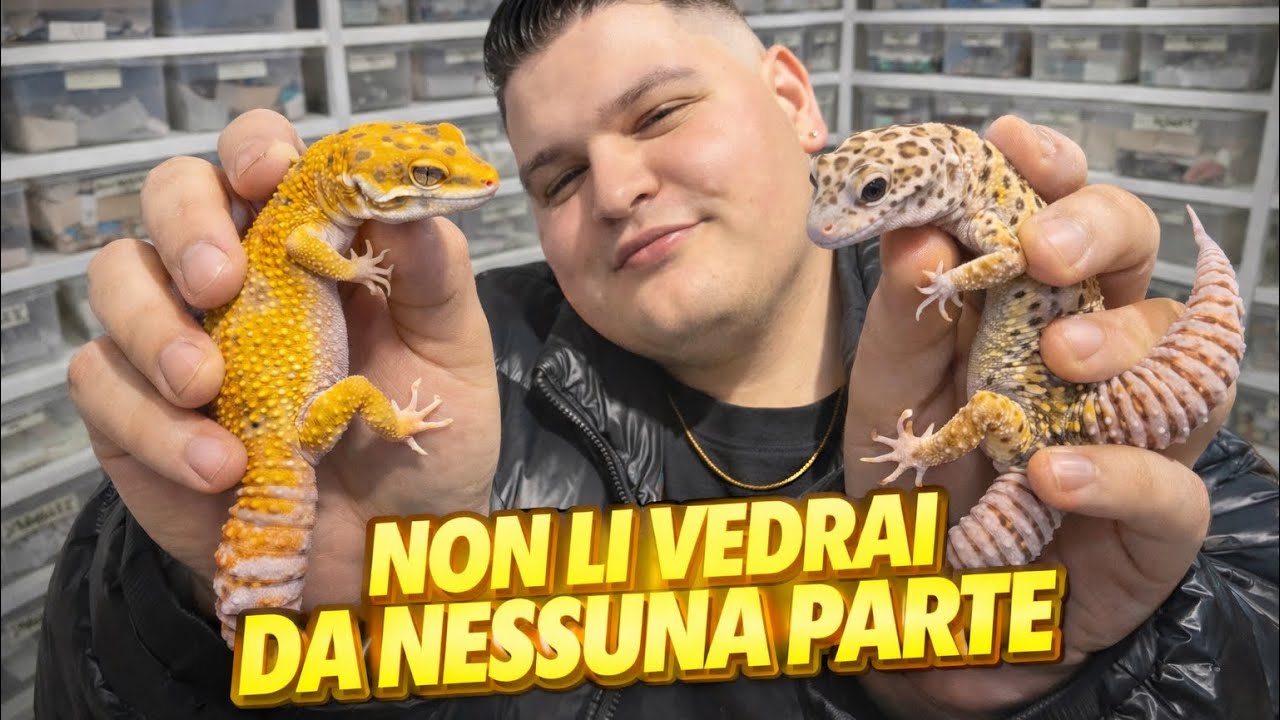 I leopardini più belli del mio allevamento *ASSURDI*