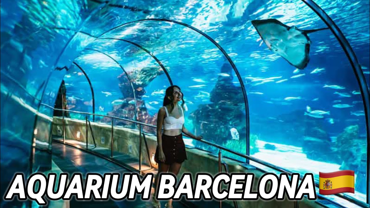I Went to Barcelona's Aquarium, and It Was Terrible
