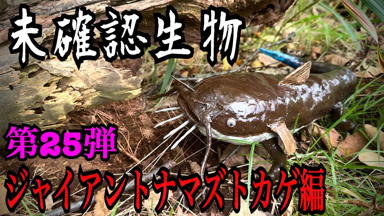 【未確認生物】ジャイアントナマズトカゲ見つけるまで帰れません！！！！