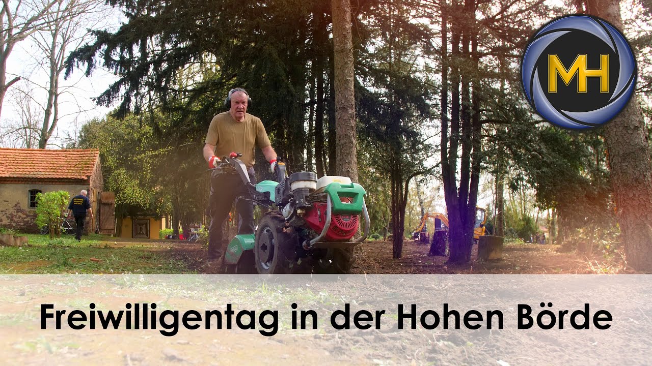 Freiwilligentag in der Hohen B&ouml;rde