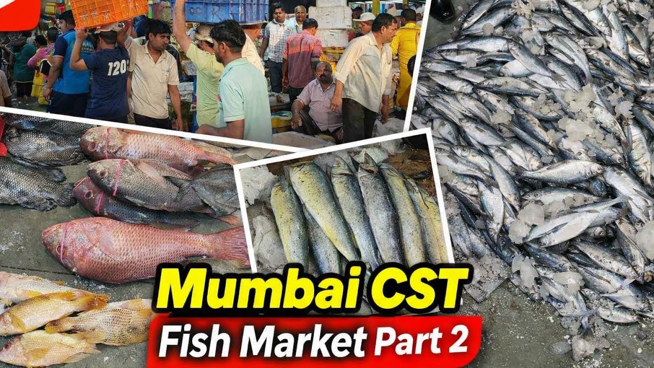 Inside Mumbai CST Wholesale Fish Market | Saturday Morning Rush 🐟 | Part 02