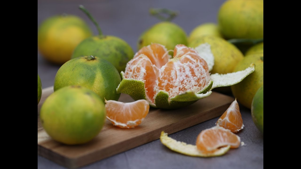 25# Deux agrumes résistants à -10/-12°C : le Yuzu et le Satsuma !