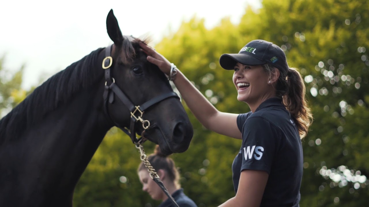 Yearling Preparation
