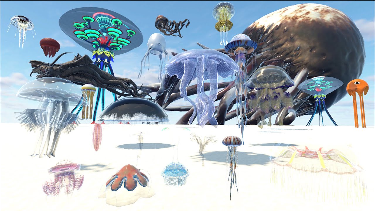 Jellyfishes Vs Monster Jellyfishes Size Comparison 3D Animation
