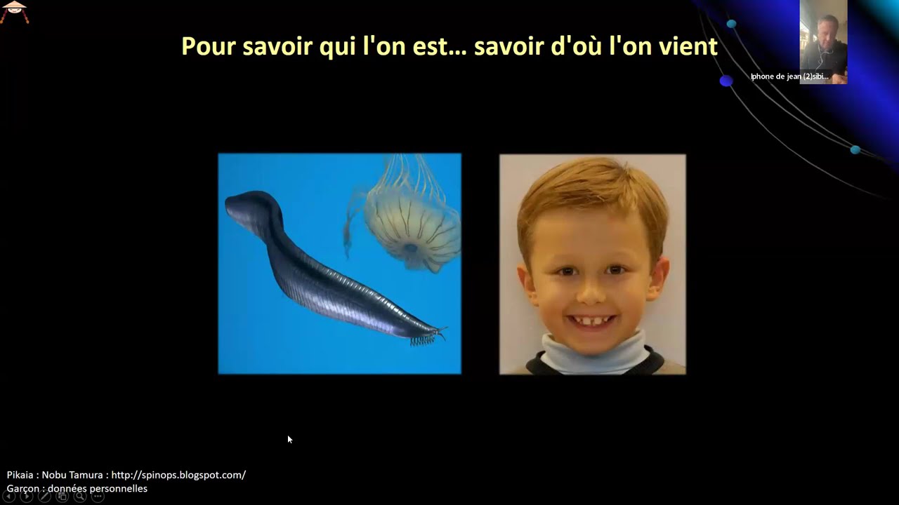 Webinaire Actu Santé Filieris - Axe psycho-neuro-immuno-endocrinien et maladies inflammatoires