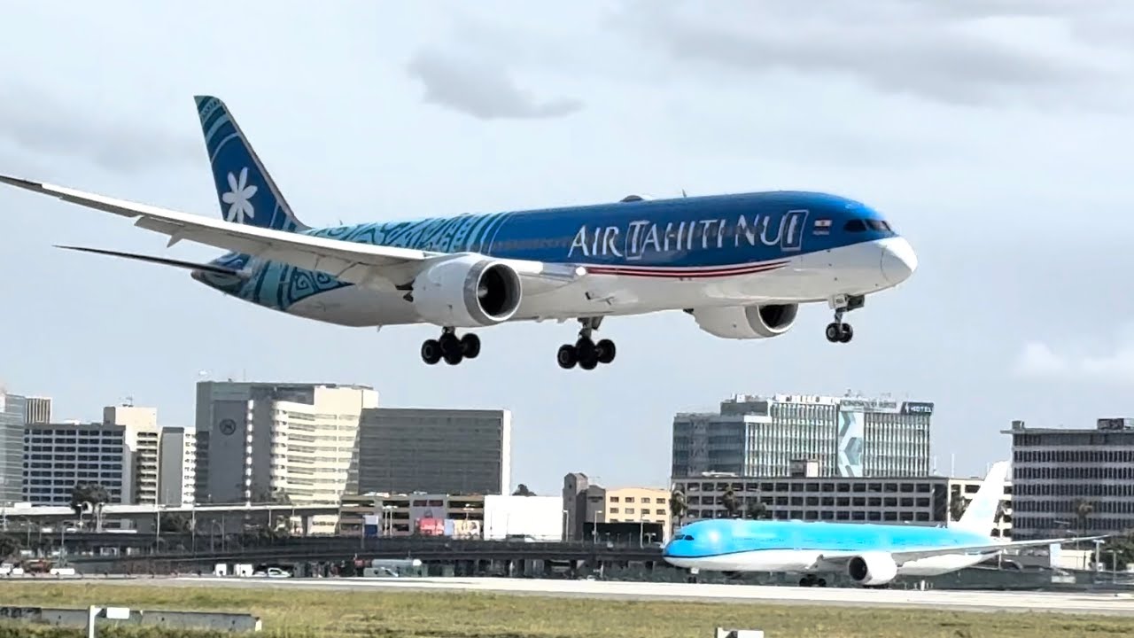 LAX favorite place to relax with airplanes landing 
