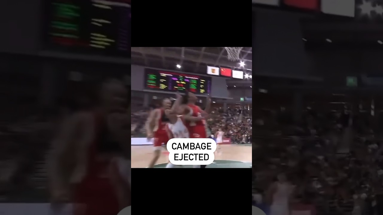 Liz Cambage was ejected after receiving 2 flagrant fouls in the WCBA Finals 🫠