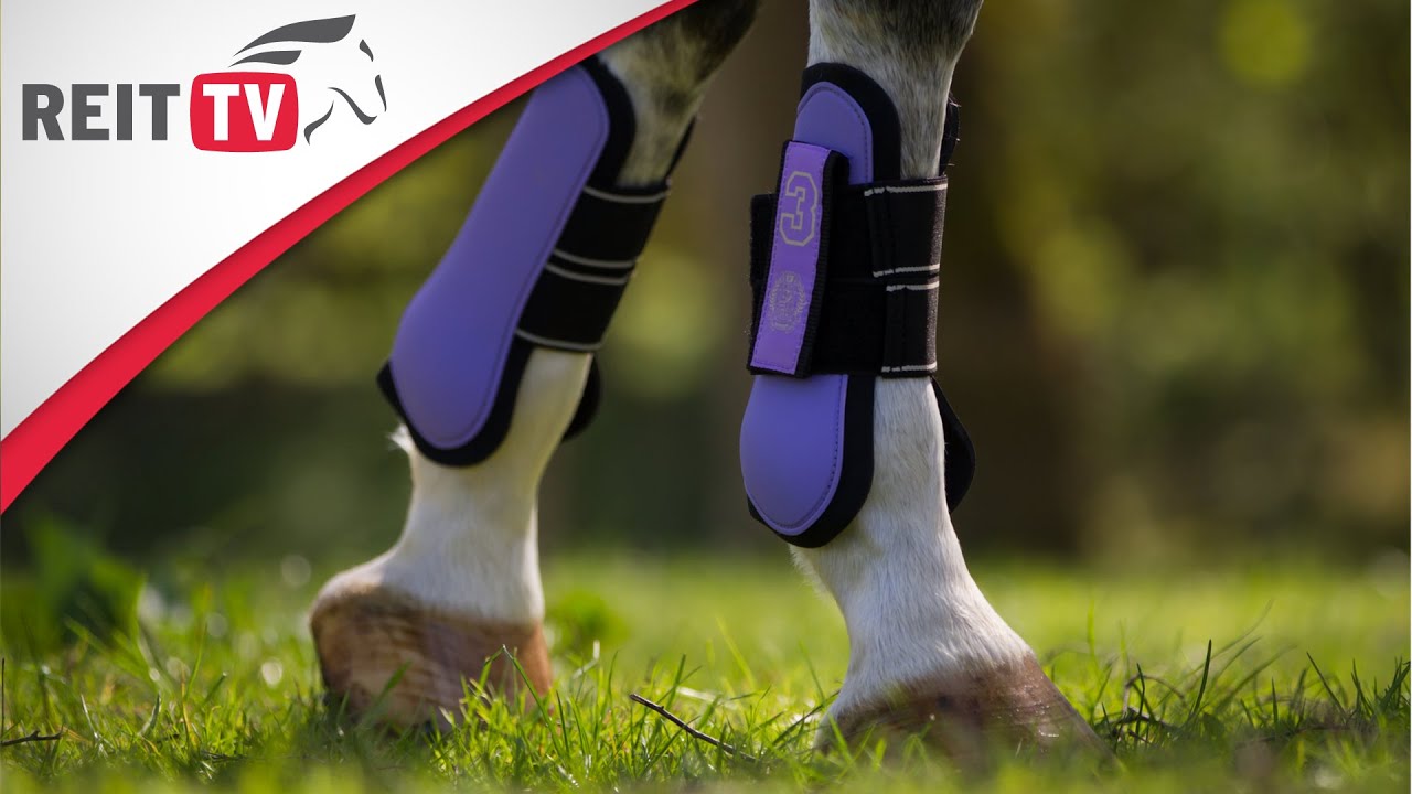Reiten lernen: Gamaschen anlegen