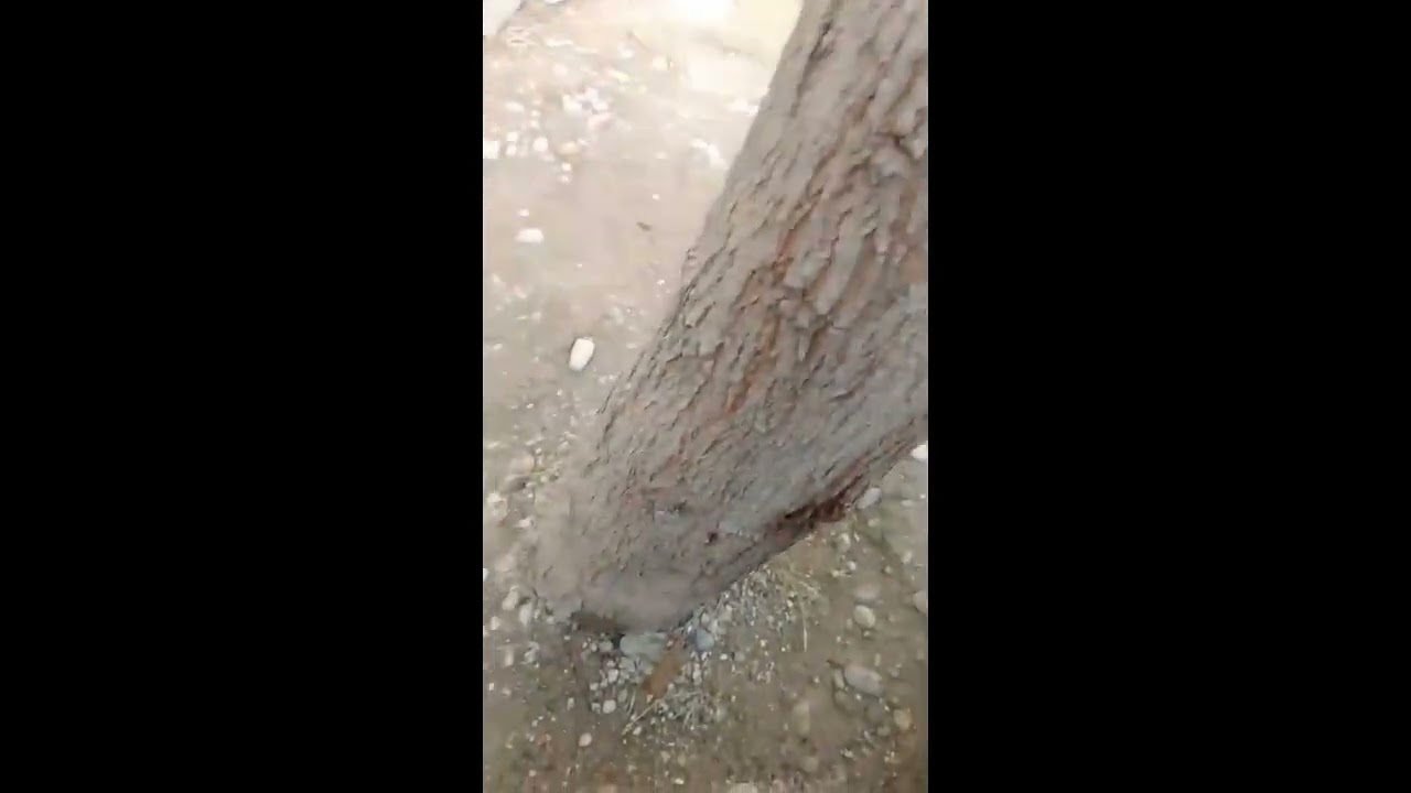 روتيني اليومي 🌺 لايك واشتراك من فضلكم
