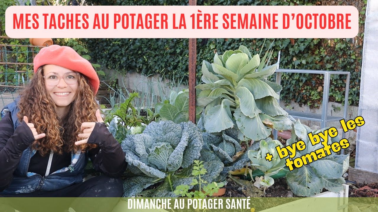 Mes tâches au potager la 1ère semaine d'octobre #potager #fleurs #semis #garden #jardinage #automne