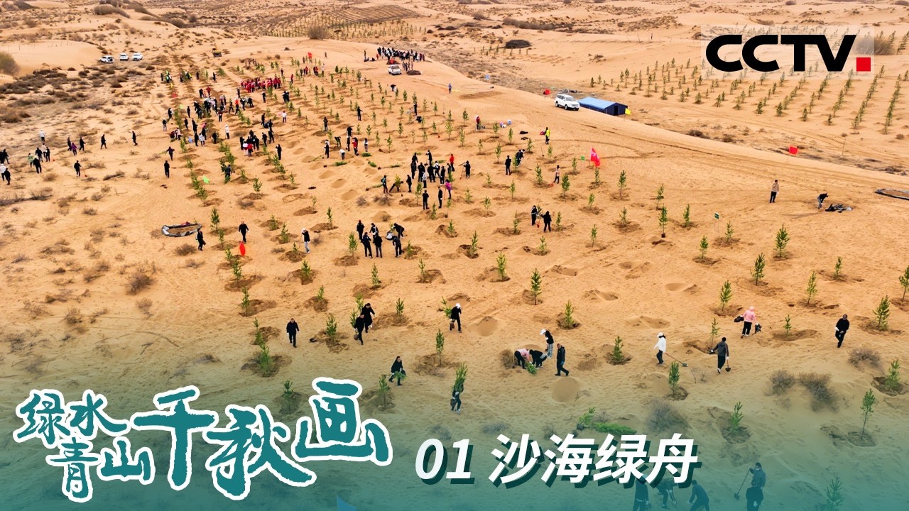《绿水青山千秋画》01 沙海绿舟：沙海变绿洲 鄂尔多斯治沙人造就690万亩治沙奇迹【CCTV纪录】