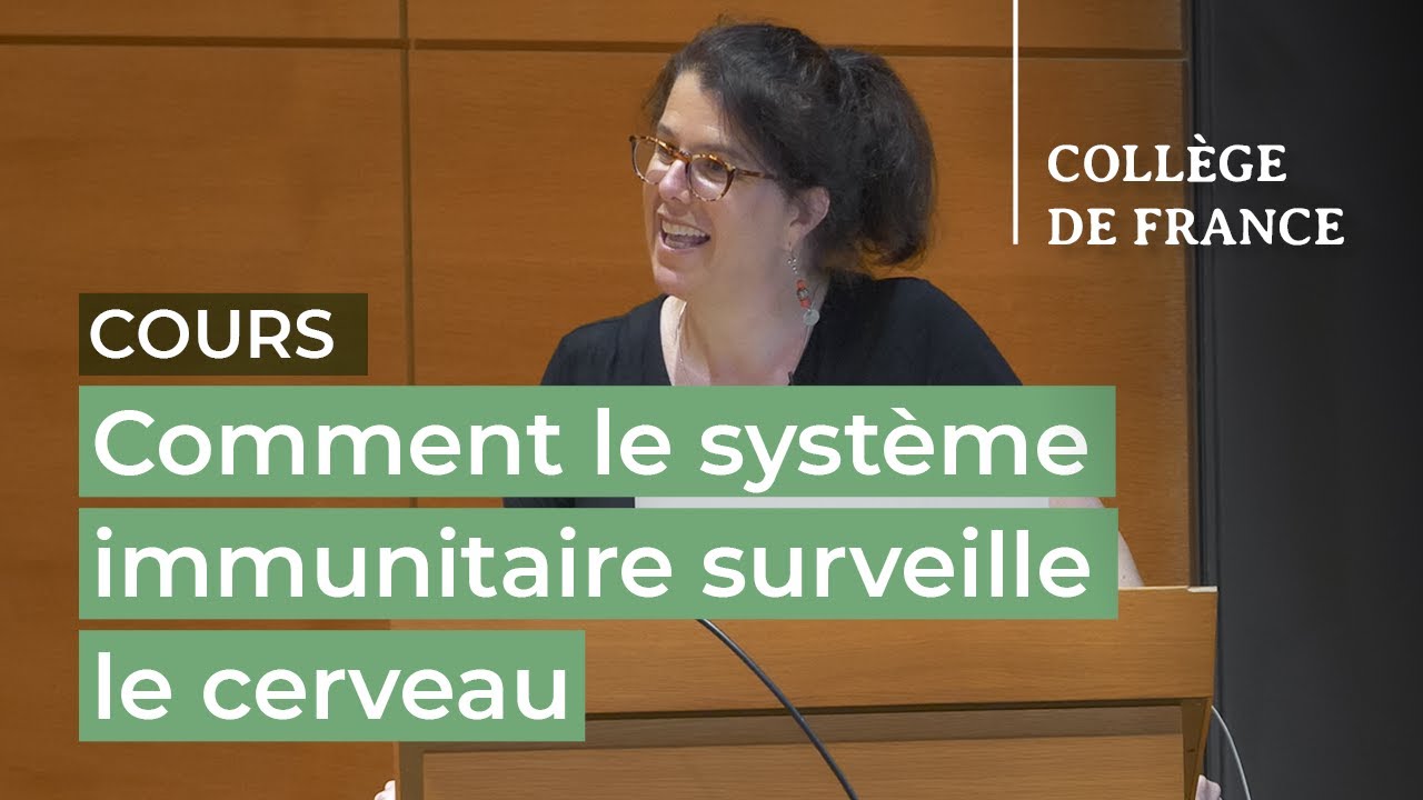 Comment le syst&egrave;me immunitaire surveille le cerveau (2) - Sonia Garel (2022-2023)