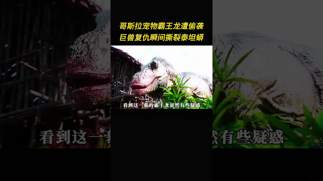 远古巨兽大乱斗，哥斯拉碾压所有挑衅者！#史前巨兽 #哥斯拉  #影視解説