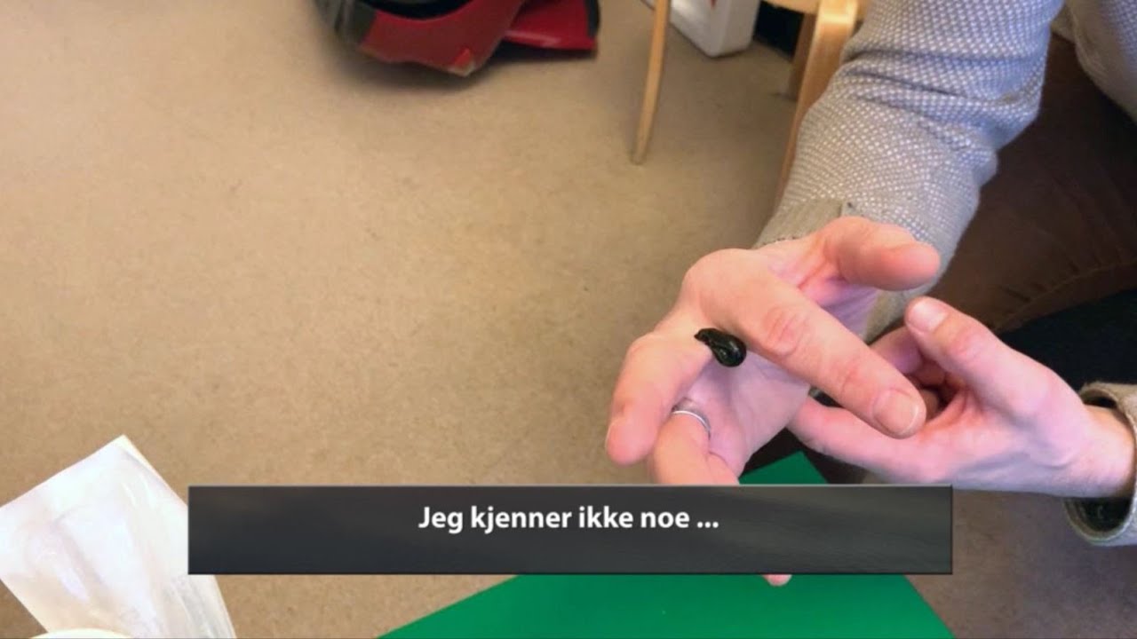 Blodiglene på Rikshospitalet