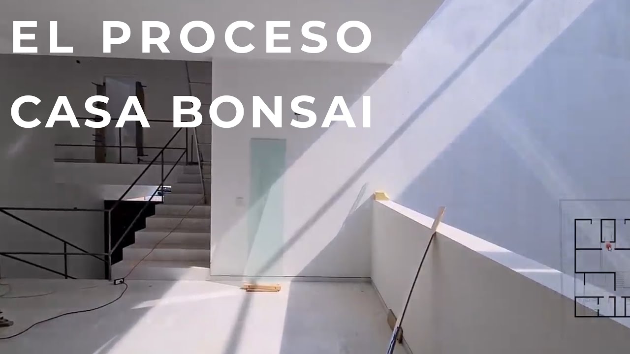 EL PROCESO | CASA BONSAI
